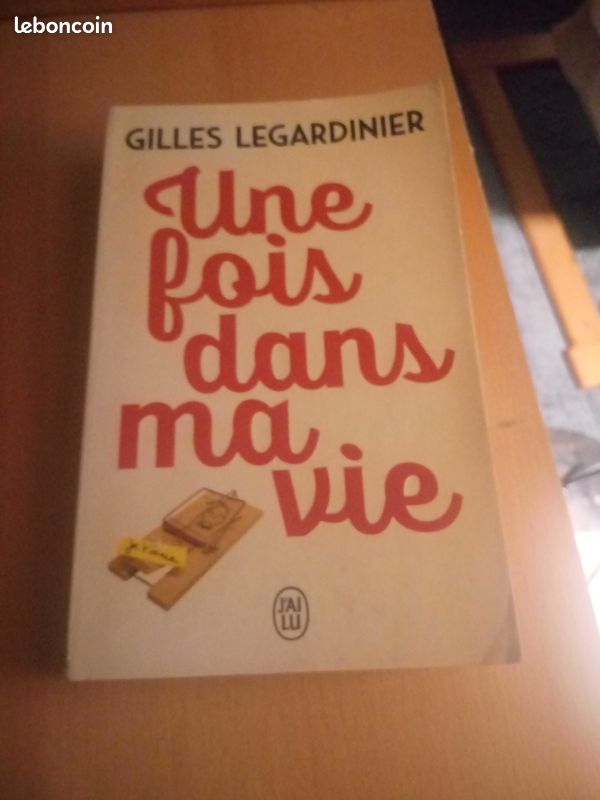 Gilles LEGARDINIER - Une fois dans ma vie (image 1)