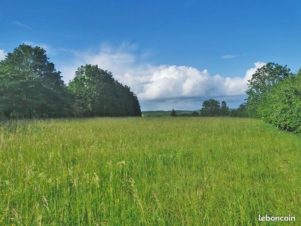Terrain 5 580 m² La Cassagne