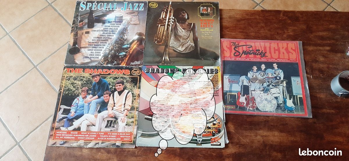 Disque 33 tours au choix (image 1)