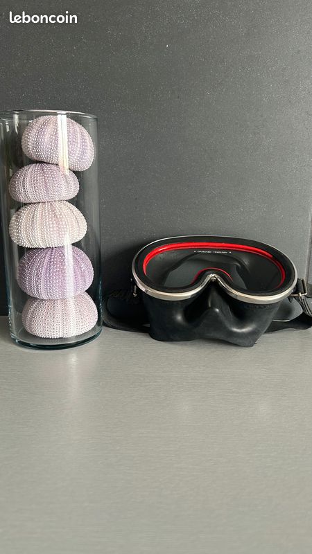 Masque de plongée en apnée Anti-buée en verre trem... - Grandado