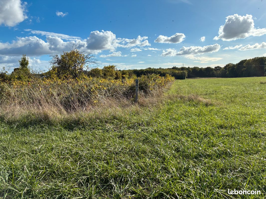 Terrain agricole · à Saintes · 10 000 €