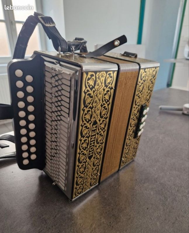 Accordéon diatonique (image 3)