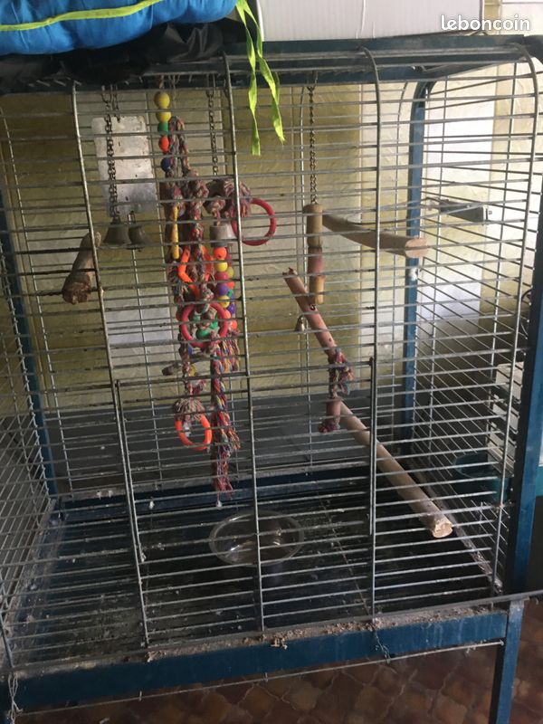 Cage perroquet (image 3)