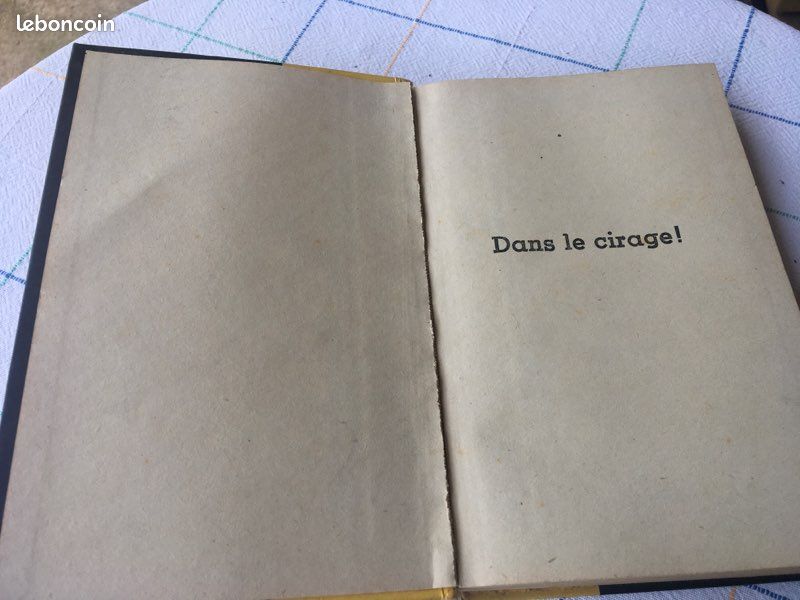Dans le cirage de James Hadley Chase (image 7)