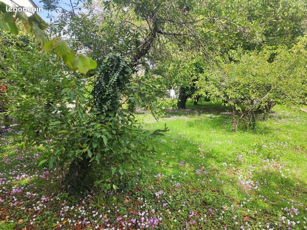 Terrain 461 m² Sorigny