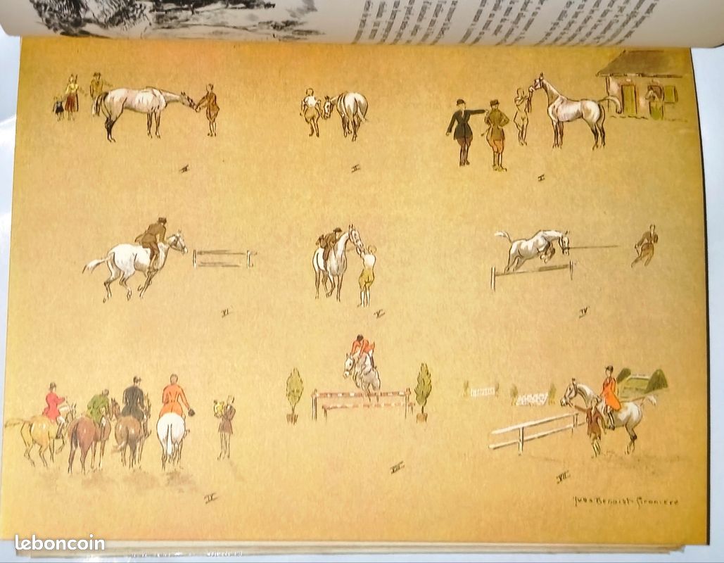 LE TRAVAIL DU cheval non monté. Harvey Cazier-Charpentier - M. Orieux EQUITATION EUR 21,00 - FR