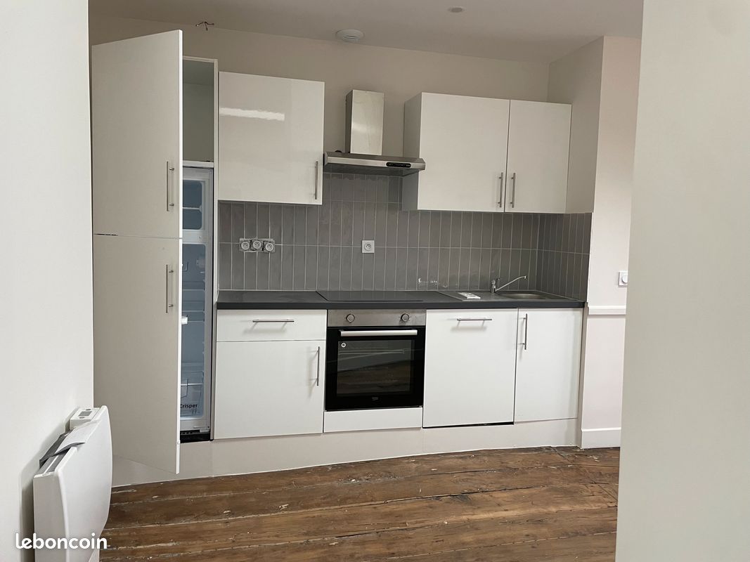 Loft T3 hypercentre - Limoges 87000 (image principale 0)