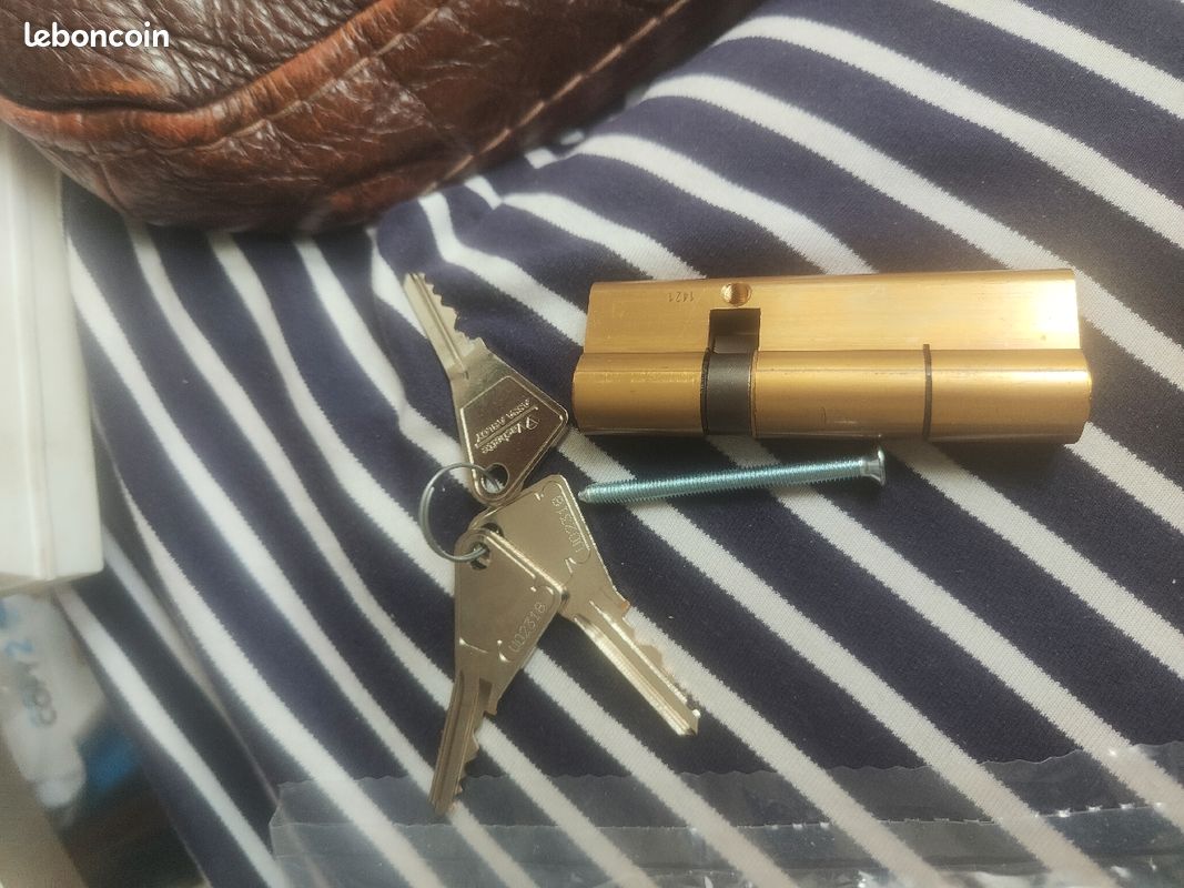 Cylindre vachette ASSA ABLOY 30/60,l (image 3)