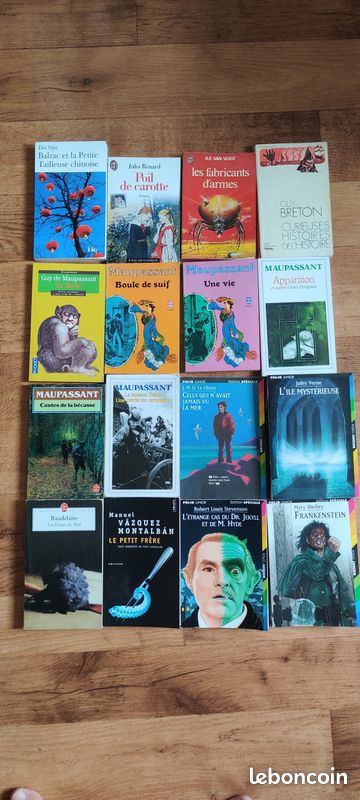 Lot de livres de littérature (image 1)