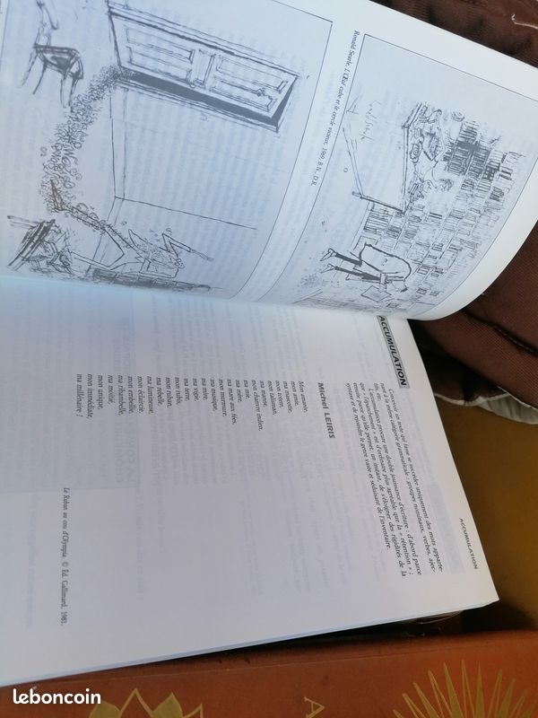 A. Duchesne, lettres en folie (image 4)