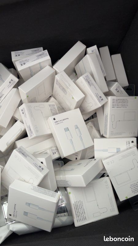 Chargeur iPhone (image 1)