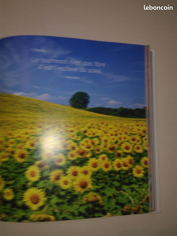 Une annee de bonheur (image 2)