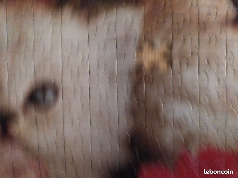 Puzzle chat 500 (image 6)