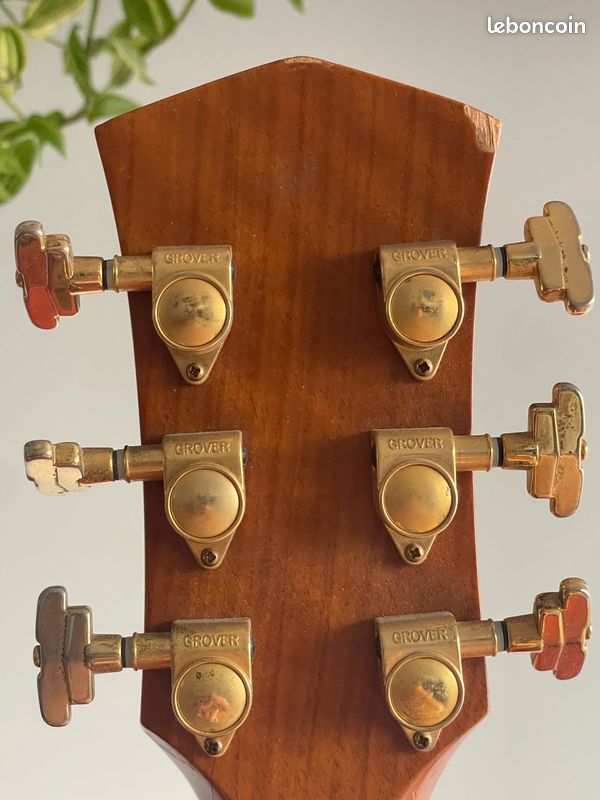 Guitare Folk Acoustique Cort Custom Jumbo (type Martin) - Palissandre Massif (image 5)