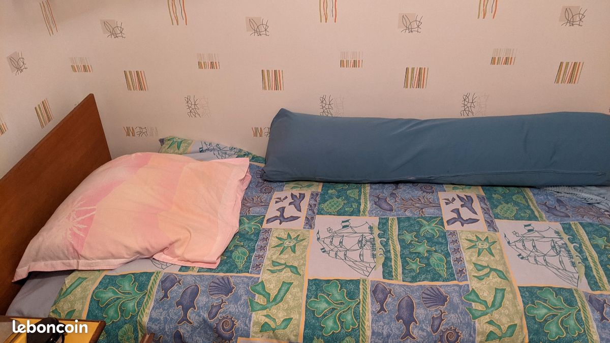 Lit 1 place + matelas de laine (image 1)
