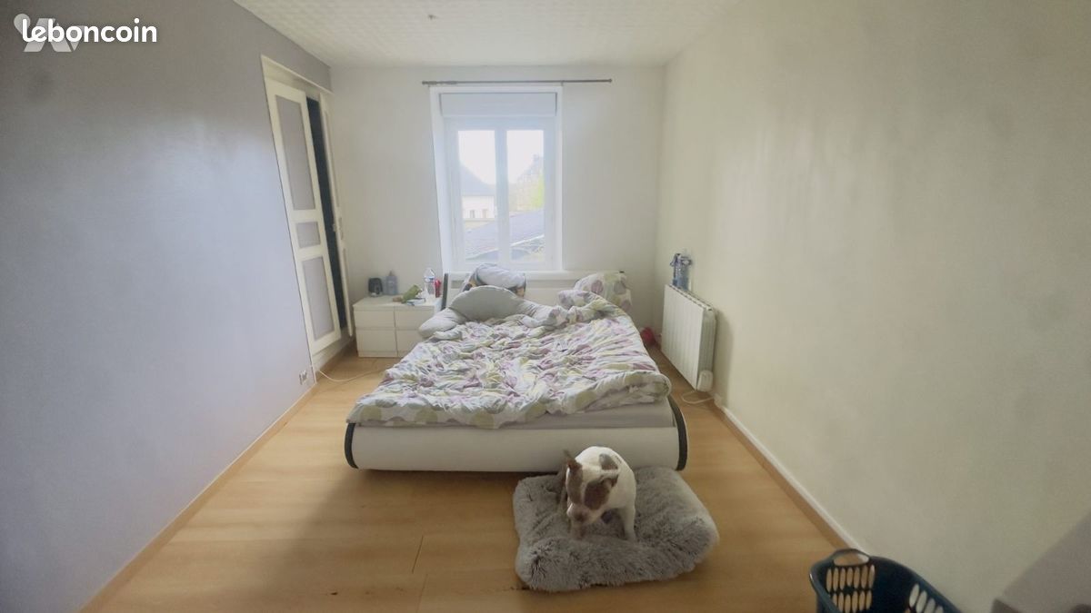 Immeuble 195 m² PICAUVILLE (image 7)
