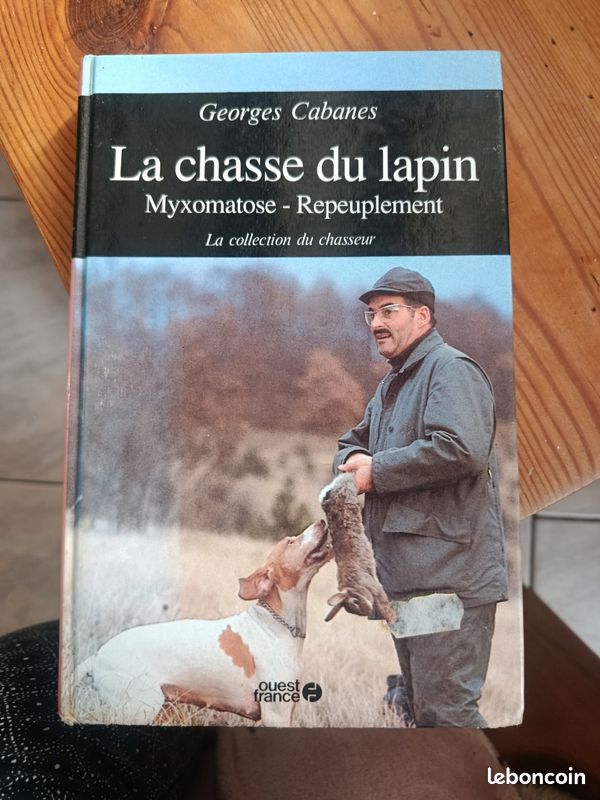 Dressage Chien d'Arrêt : 3 Techniques Efficaces