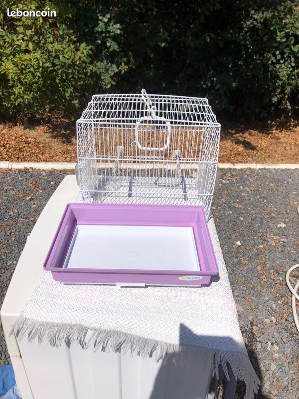 Je vends une cage à oiseaux (image 2)
