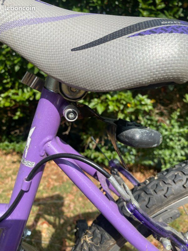 Vélo tout terrain (image 3)