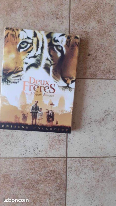 DVD deux frère (image 1)
