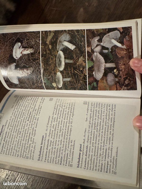 Guide Vigot des champignons (image 5)