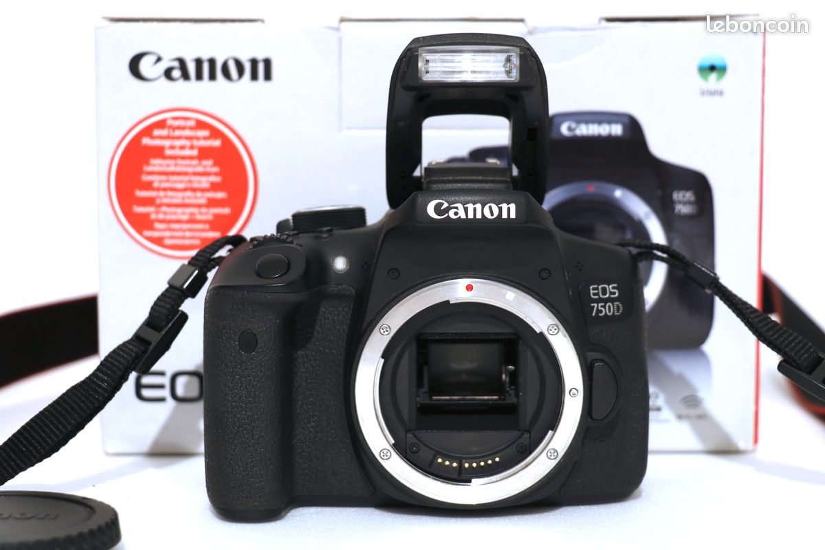 Canon EOS 750D (boitier nu) (image 2)