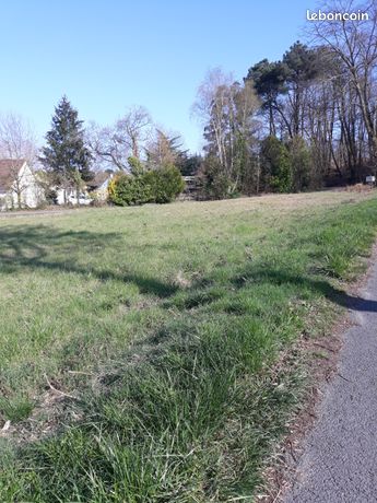 Terrain constructible