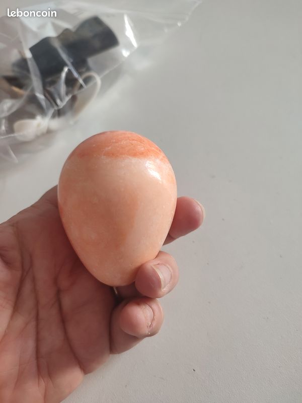 Oeuf à repriser (image 2)