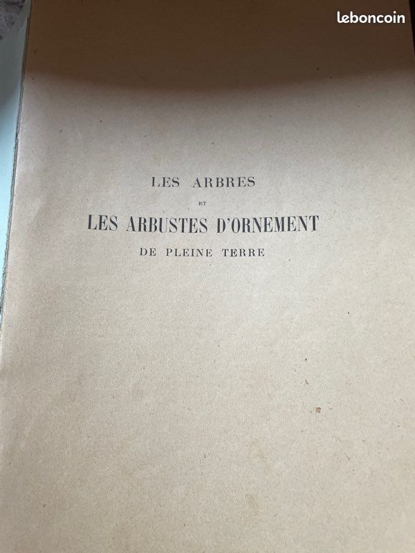 Livre ancien Arbres et arbustes d’ornement de pleine terre (image 2)