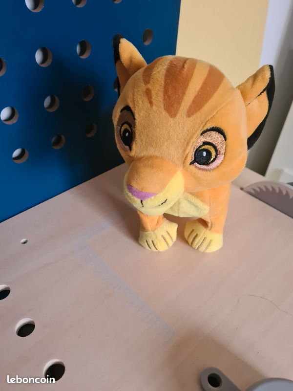 Simba marche avec moi (image 1)