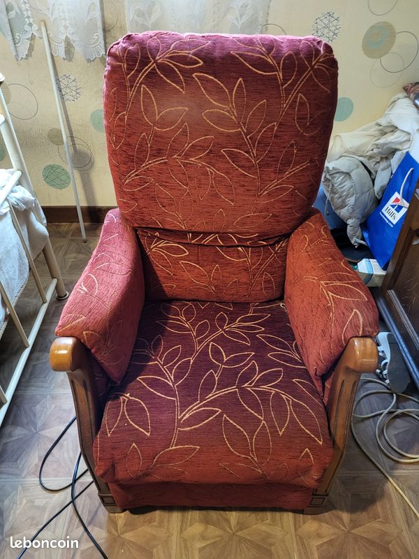 Fauteuil électrique (image 3)