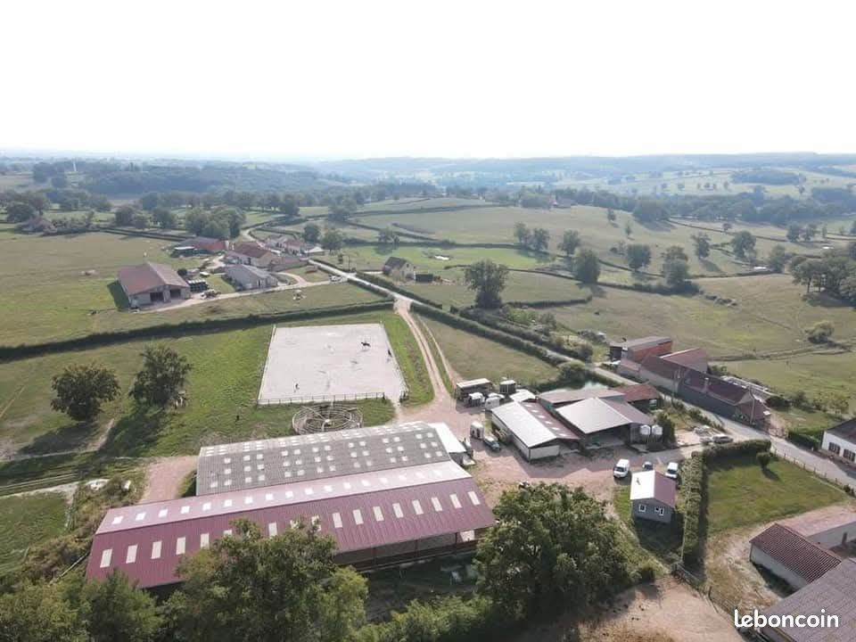 Haras avec carrière et manège · à Le Bouchaud · 350 000 €