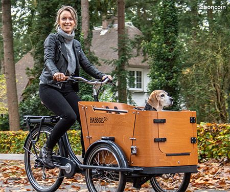 Velo cargo baboedog Vélos