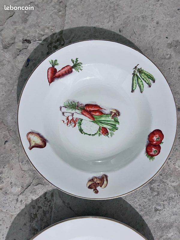 Ensemble de 6 assiettes creuses St Amand Hamage modèle Estival – La