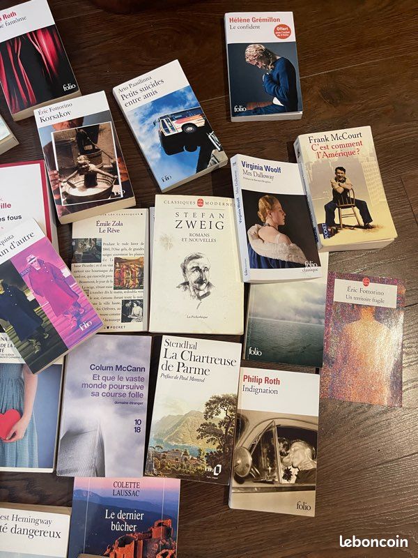 Lot de 60 livres de littérature format poche ou grand format tous auteurs lot ou unité (image 3)