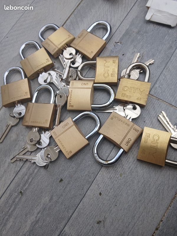 Lot de cadenas de sûreté (valeur pour 1 au magasin 20 euros je fais moitié prix 10 euros pour 1) (image 1)