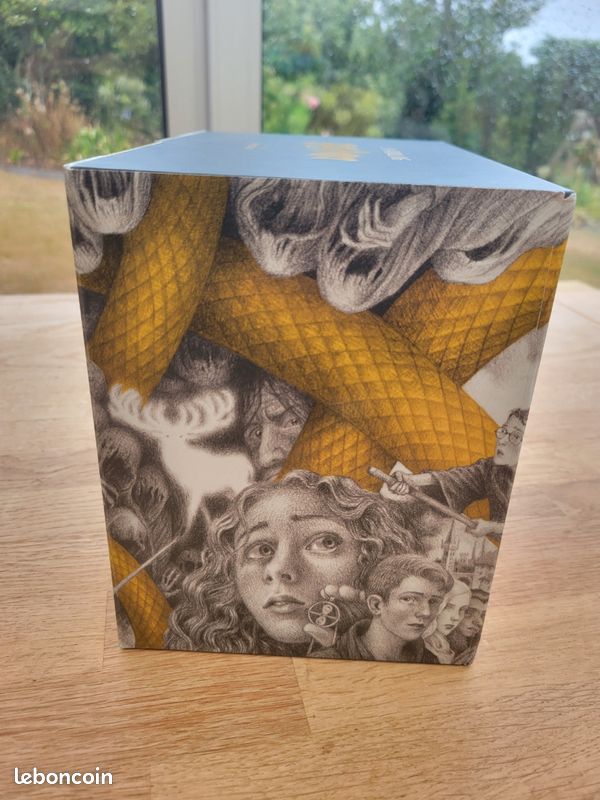 Saga Harry potter, édition spéciale Brian Selznic (image 11)