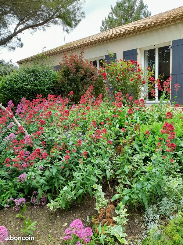 Maison 6 pièces 160 m² · à Ballon · 160 m² · 465 000 €