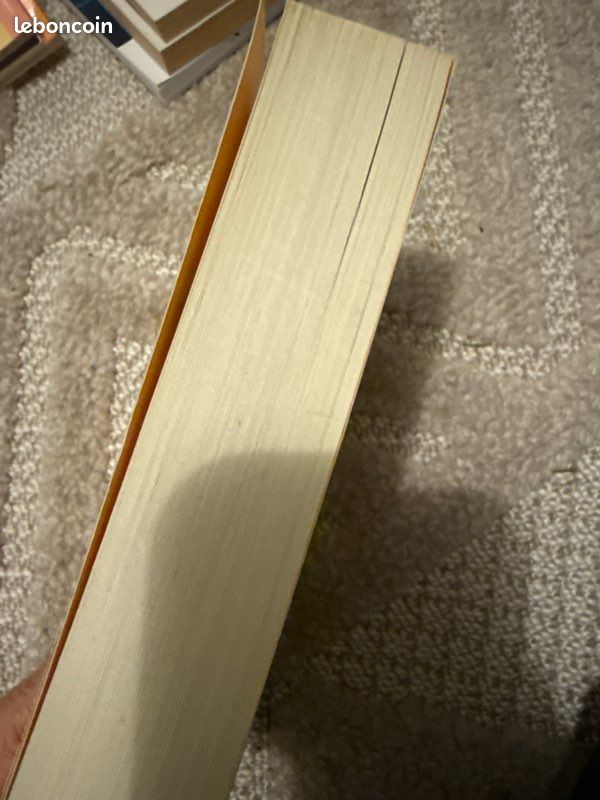 La vie compliquée de Léa Olivier (image 2)