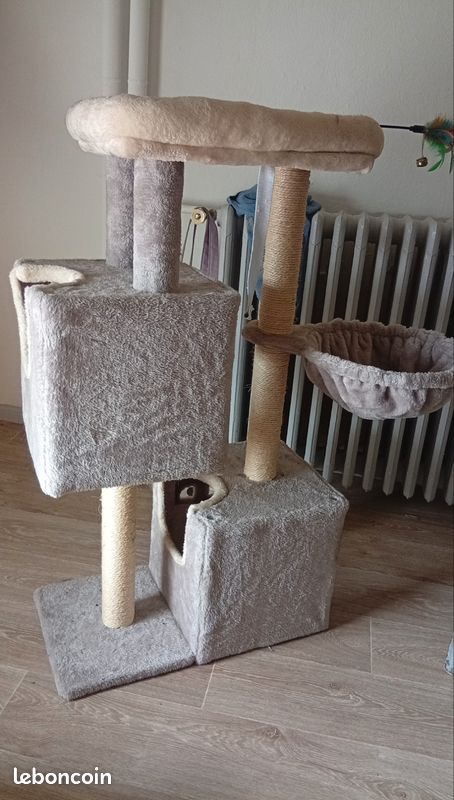 Arbres a chat (image 1)