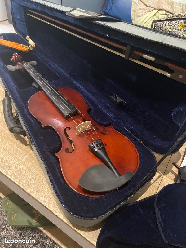 Violon 4/4 (image 1)