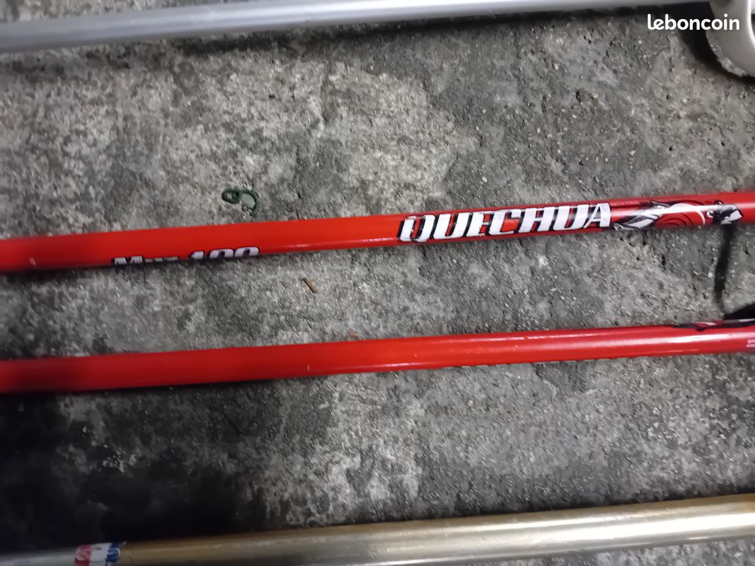 Skis,et Batons,+ certains de Marche (image 6)