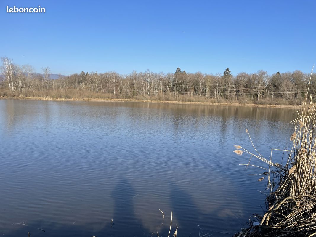 Terrain 39191 m² Sermamagny (image 2)