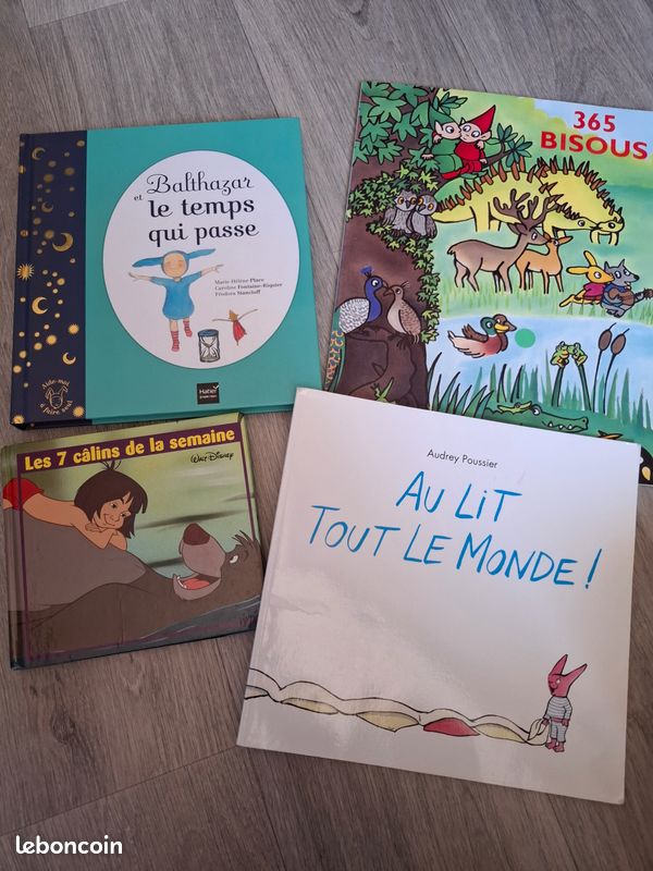 Livres enfants (image 7)