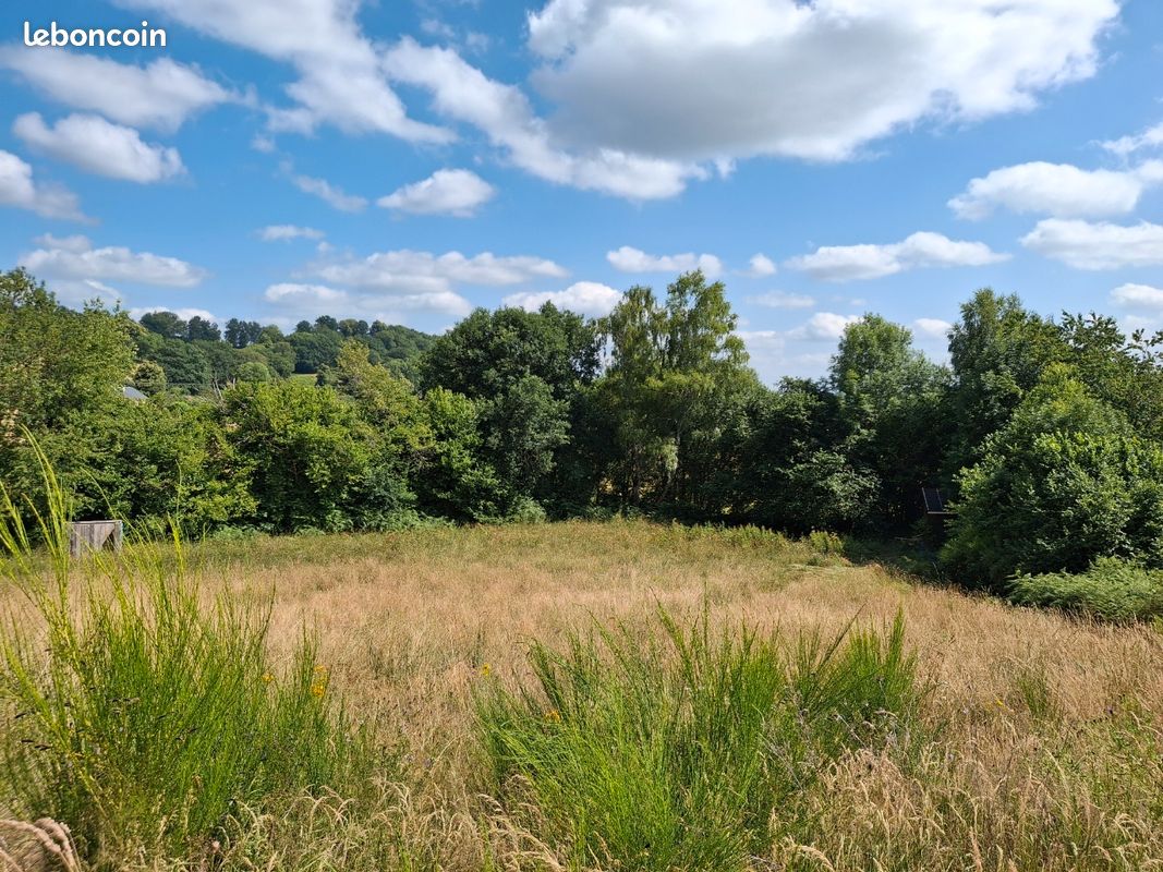 Terrain 3600m2 à Lanobre avec petit chalet · à Champs-sur-Tarentaine-Marchal · 30 000 €