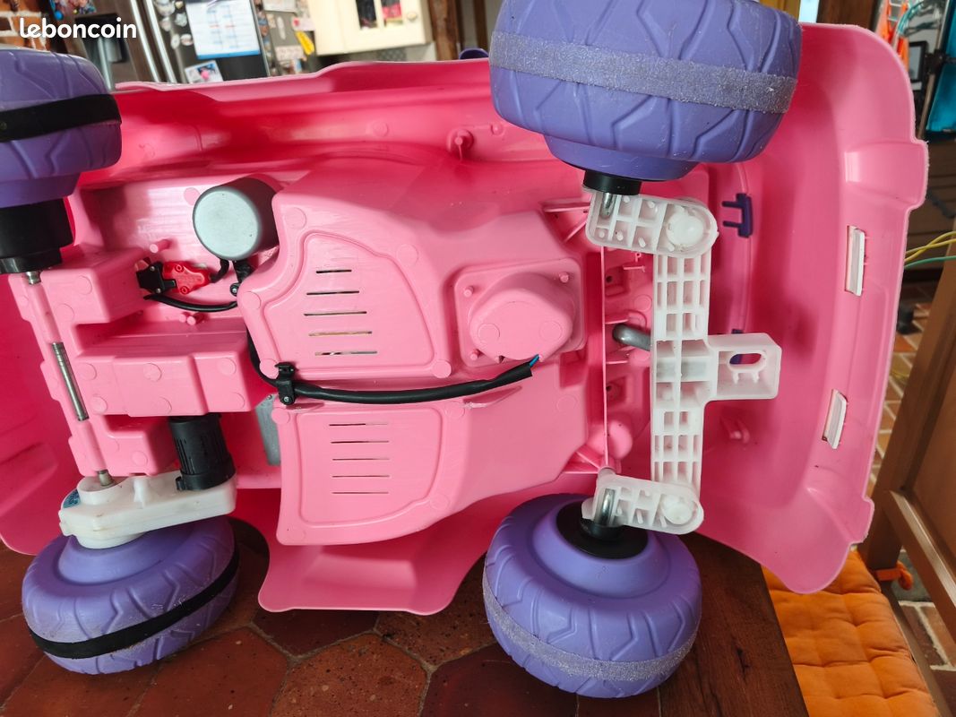 Voitur Minnie Rose (image 7)