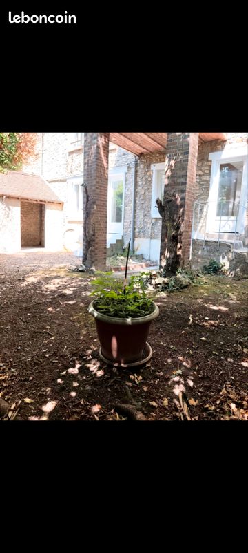 Appartement 2 pièces 34 m² · à Septeuil · 34 m² · 129 000 €