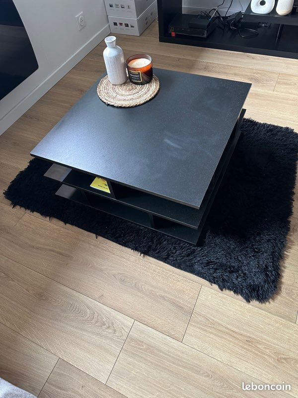 Table basse + tapis (image 2)
