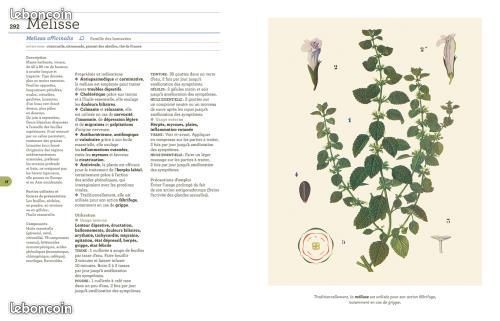 La Bible des Plantes qui Soignent ( santé alternative ) (image 2)