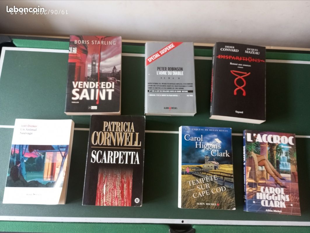 Livres policier/thriller (image 1)
